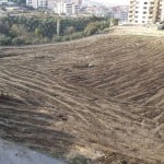 insaat-icin-2-saatte-100-zeytin-agaci-sokuldu_3271_dhaphoto2