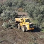 insaat-icin-2-saatte-100-zeytin-agaci-sokuldu_3271_dhaphoto3