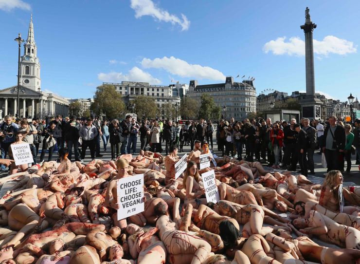 londra vegan eylem