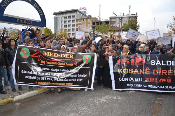 Fotoğraf: DHA
