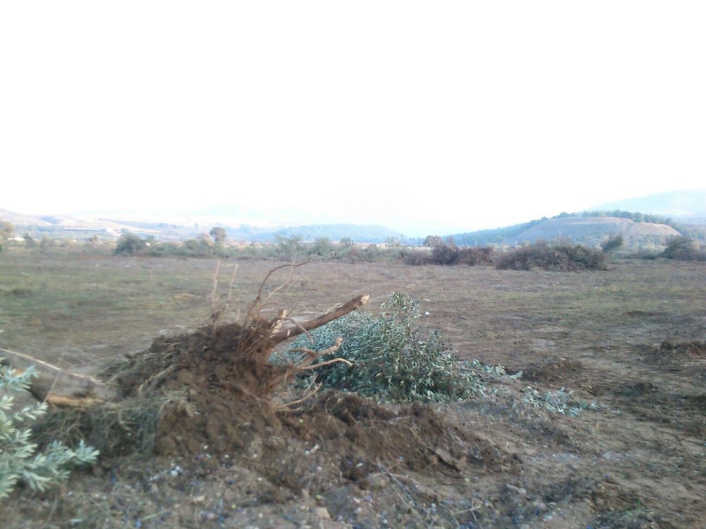 termik-santral-nobetinde-arbede-cikti-1-yarali-2-_3532_dhaphoto4