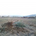 termik-santral-nobetinde-arbede-cikti-1-yarali-2-_3532_dhaphoto4