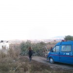 termik-santral-nobetinde-arbede-cikti-1-yarali-2-_7752_dhaphoto1