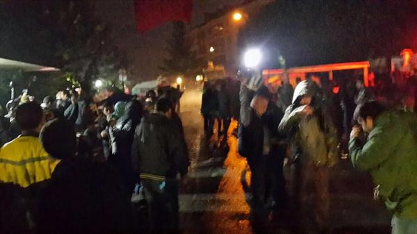 Fotoğraf: @kuzeyormanlari