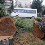 yalova  (2)