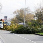 yalova  (4)