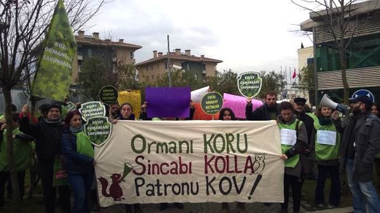 fatih ormani