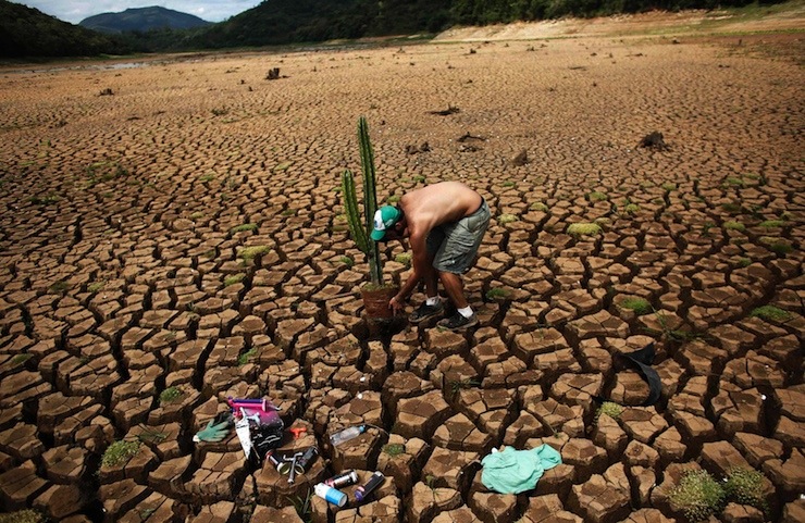Brazilian artist and activist Mundano places a cactus plant in the cracked ground to work on a drought-related cactus installation called "Desert of Cantareira" at Atibainha dam
