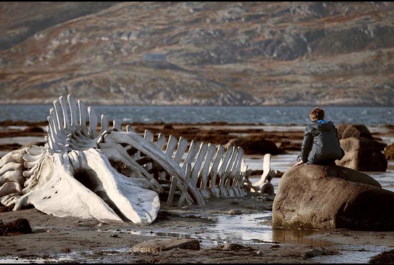 leviathan2014