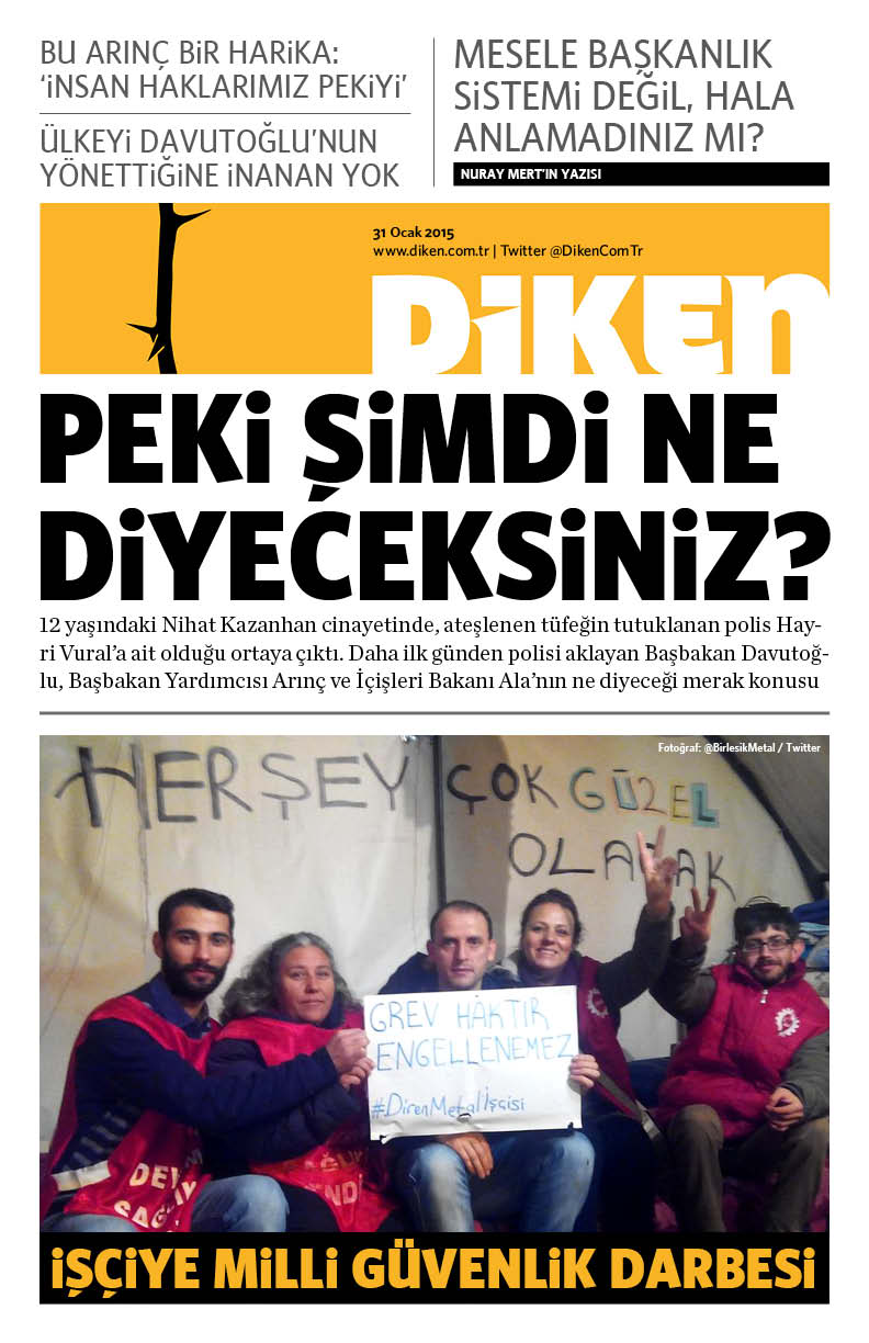 20150131 Diken