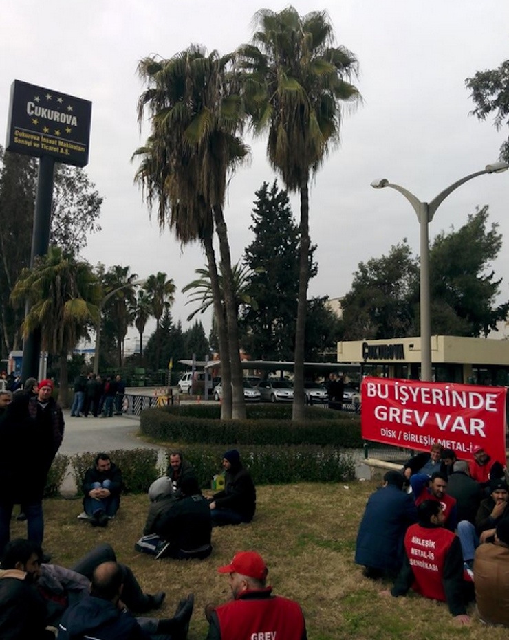 mersin cimsatas