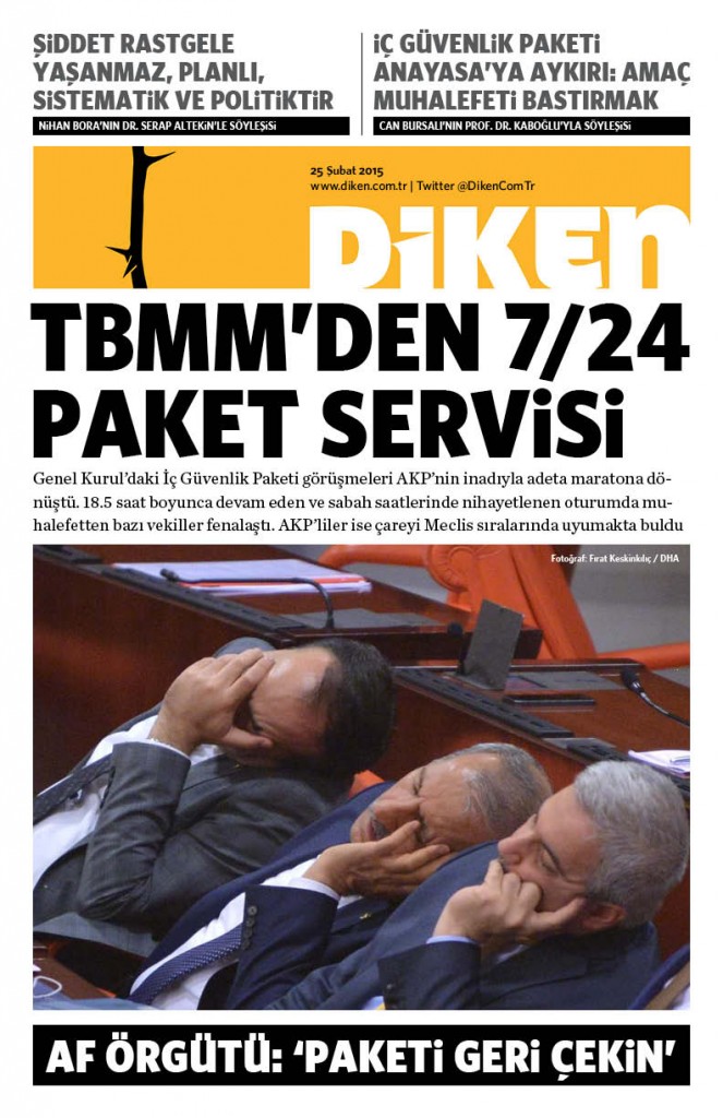 20150225 Diken