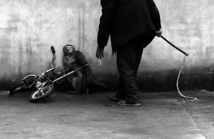 World Press Photo3