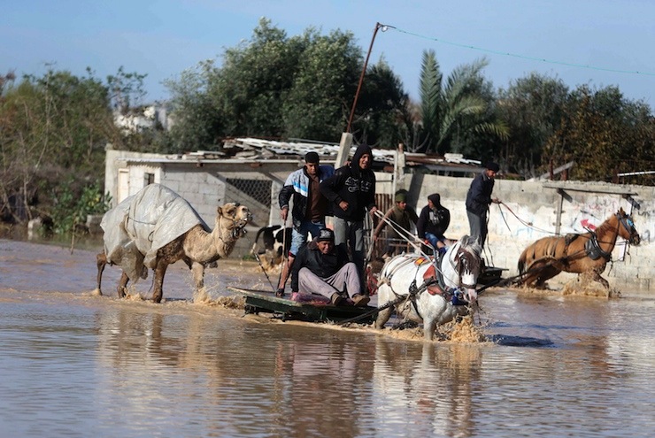 Palestinians evacuate their animals in Al-Moghraga after it was flooded by rain water, near central Gaza Strip