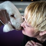 An owner kisses her Bedlington Terrier before competition at the 139th Westminster Kennel Club Dog Show in Manhattan, New York