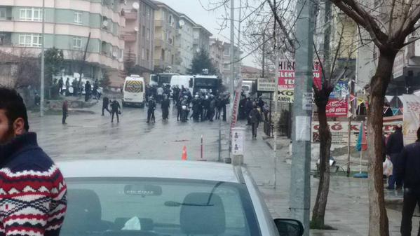 Fotoğraf: @AydnSahin58