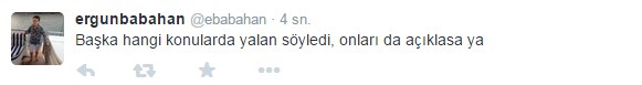 arinctweet11