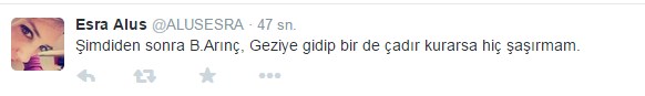 arinctweet12