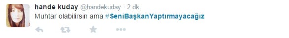 demirtas2