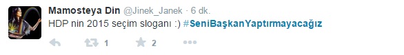 demirtas8