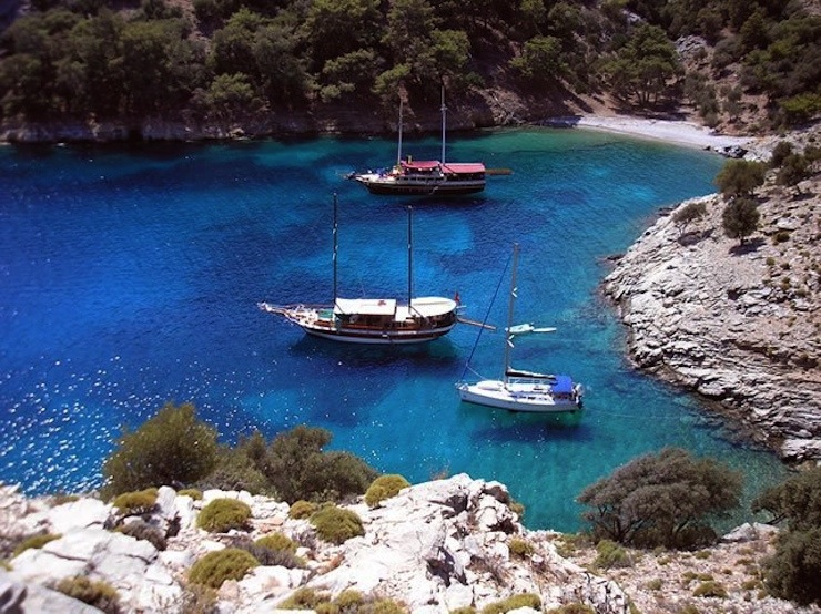 gocek