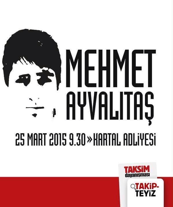 mehmet ayvalitas