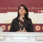 pervin buldan