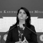 pervin buldan sb