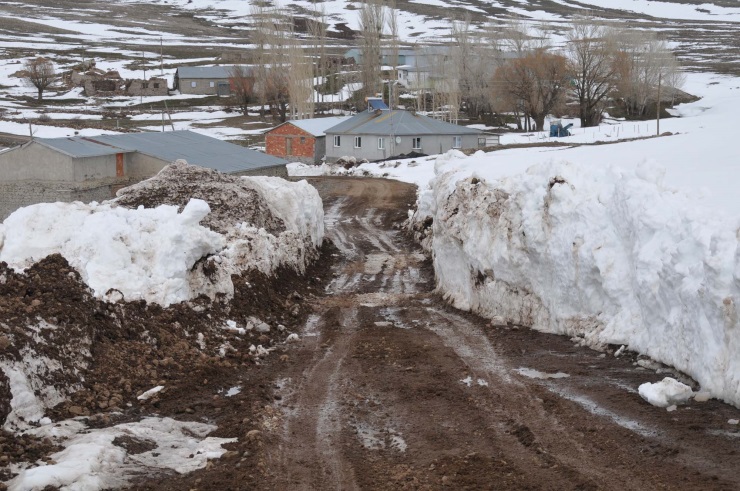 sivas 2