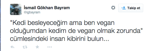 vegan kedi10