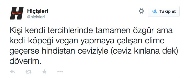 vegan kedi4