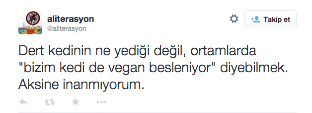 vegan kedi7
