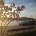 bebek 10