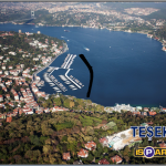 bebek 6