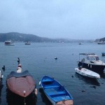 bebek 7