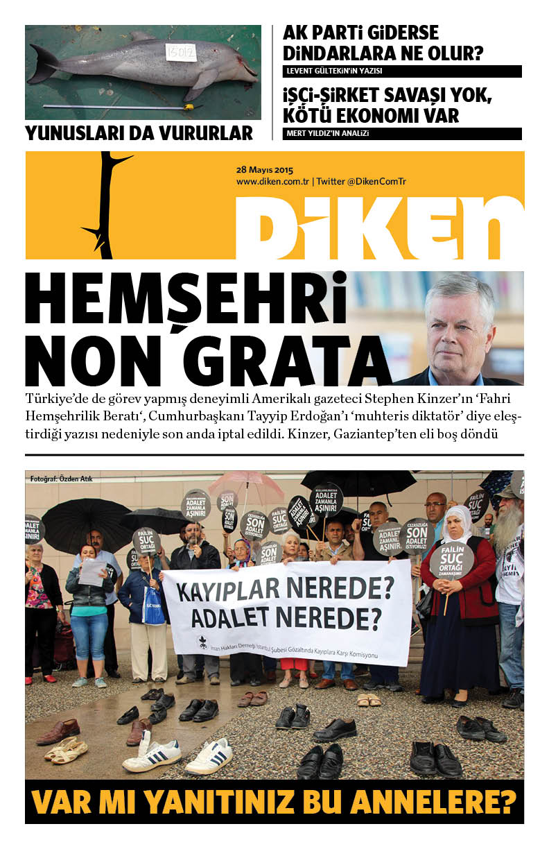 20150528 Diken
