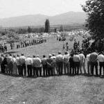 aysenur islam karsilama sb