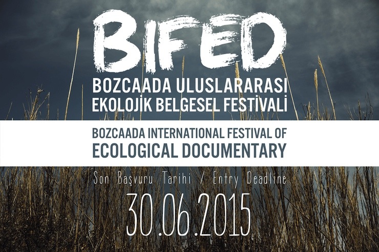 bifed1