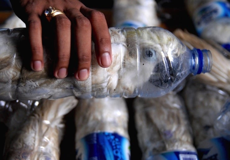 A policeman holds a water bottle with a yellow-crested cockatoo put inside for illegal trade, at the customs office of Tanjung Perak port in Surabaya, East Java province, Indonesia, May 4, 2015  in this picture taken by Antara Foto. REUTERS/Antara Foto/Risyal Hidayat TPX IMAGES OF THE DAY ATTENTION EDITORS - THIS IMAGE HAS BEEN SUPPLIED BY A THIRD PARTY. IT IS DISTRIBUTED, EXACTLY AS RECEIVED BY REUTERS, AS A SERVICE TO CLIENTS. MANDATORY CREDIT. INDONESIA OUT. NO COMMERCIAL OR EDITORIAL SALES IN INDONESIA.