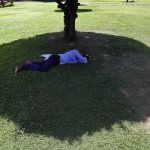 A man sleeps under the shade of a tree on a hot summer day at a public park in New Delhi