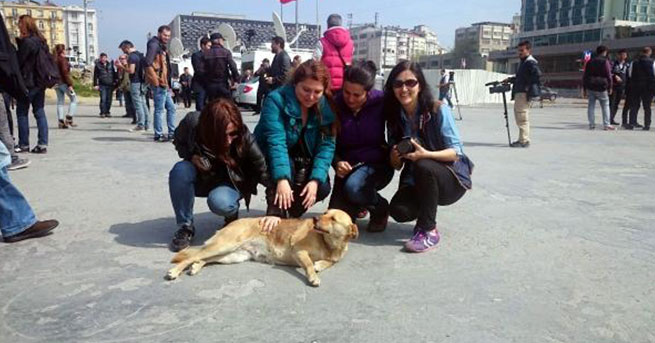 Fotoğraf: DHA
