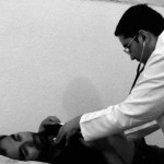 saglik ocagi doktor sb