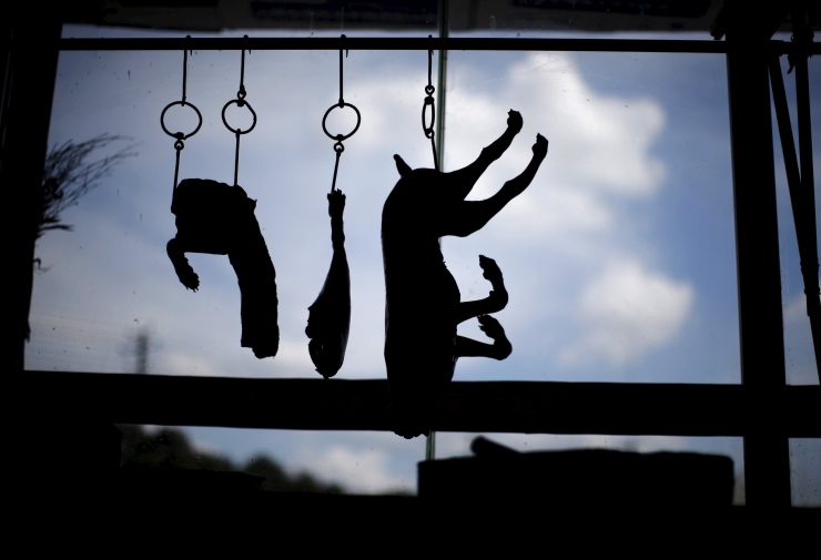 Fotoğraf: Reuters