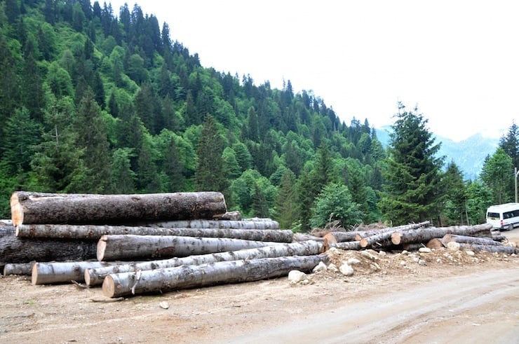 avusor yayla yesil yol11