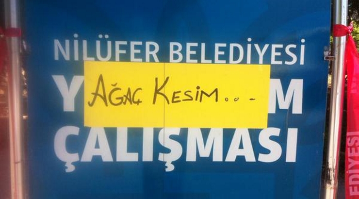 bursa