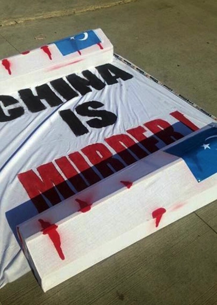cin protesto6