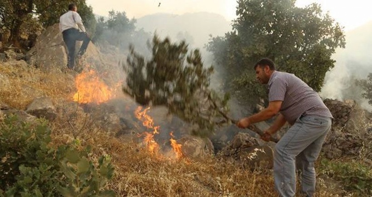 Fotoğraf: DİHA