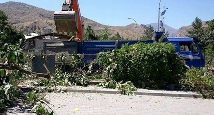 Fotoğraf: Hürriyet