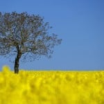 From the Files – Reuters Most Popular Instagram