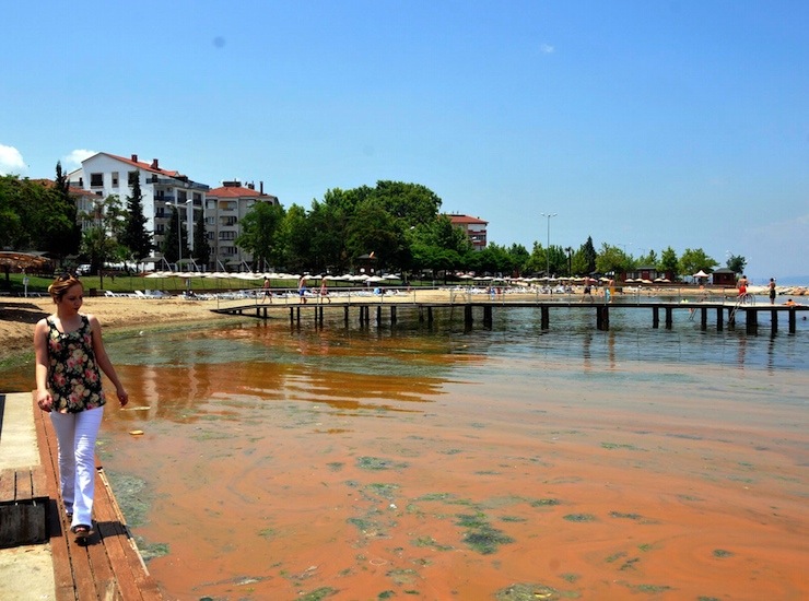Fotoğraf: DHA
